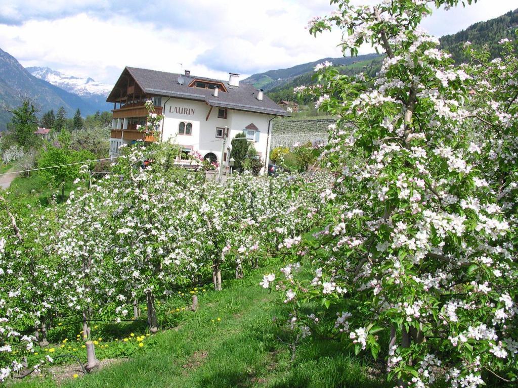 Pension Laurin Scena Exterior foto