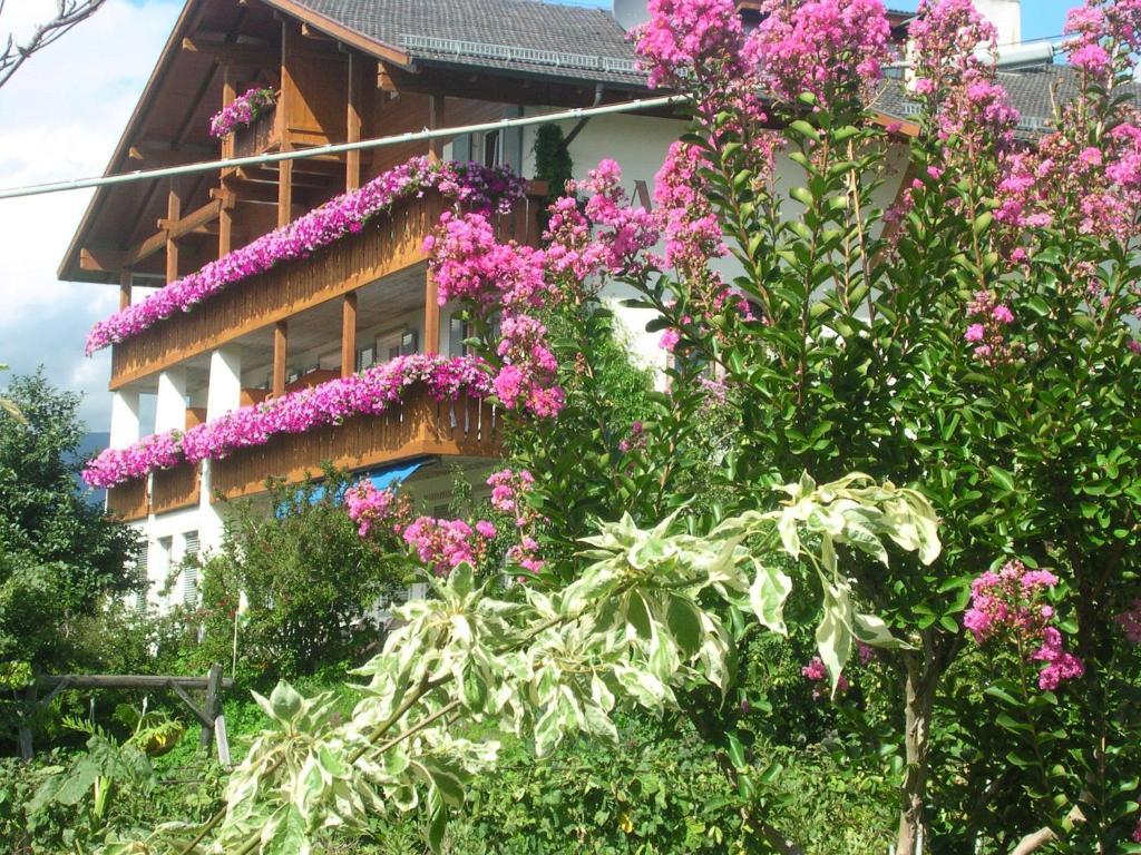 Pension Laurin Scena Exterior foto